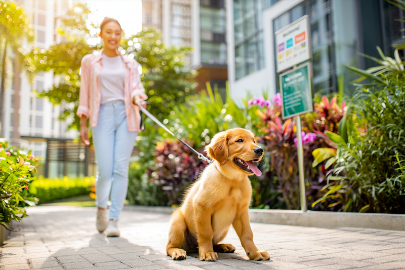 7f91fa0aa5fa01fda14427ccfb6d8b9b